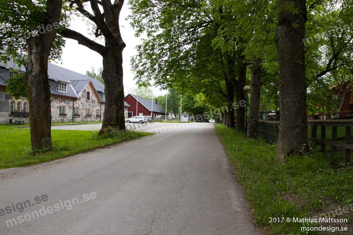 Baldersnäs i juni 2017